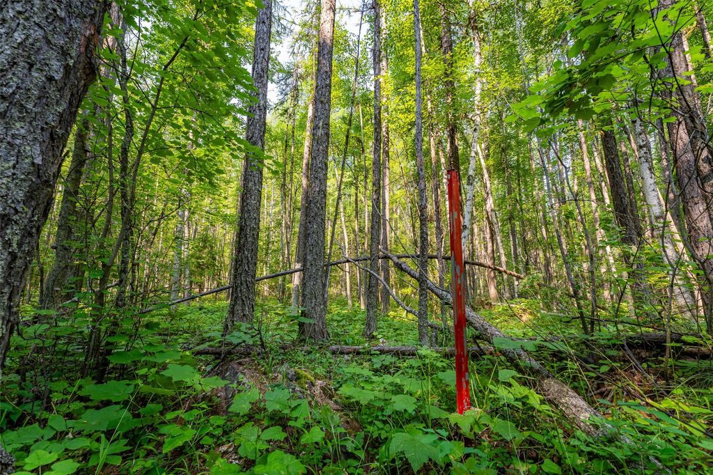 NHN E Lakeshore Drive, Whitefish, MT 59937 photo 6