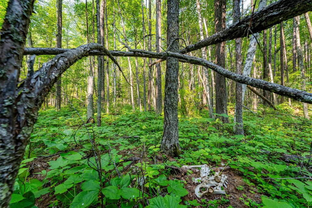 NHN E Lakeshore Drive, Whitefish, MT 59937 photo 8