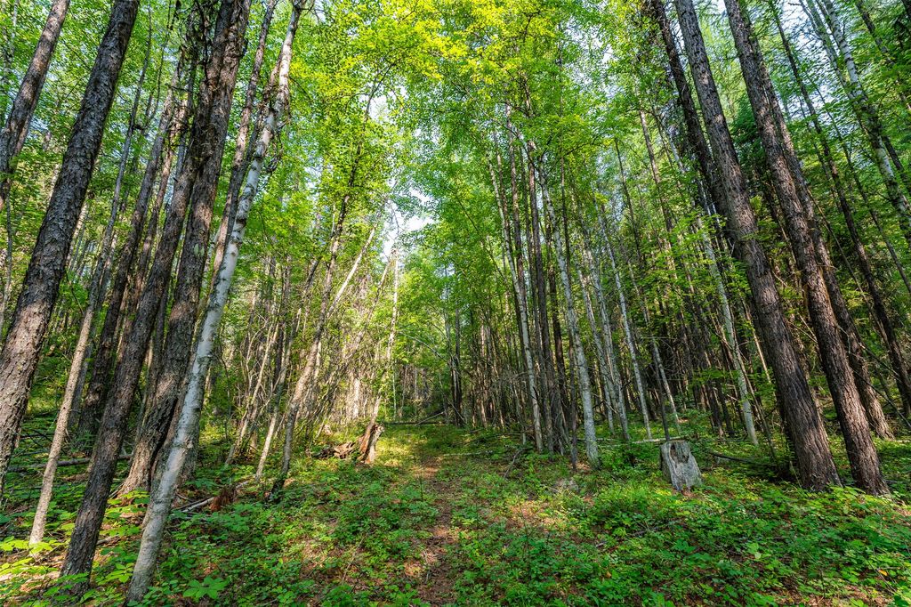 NHN E Lakeshore Drive, Whitefish, MT 59937 photo 9