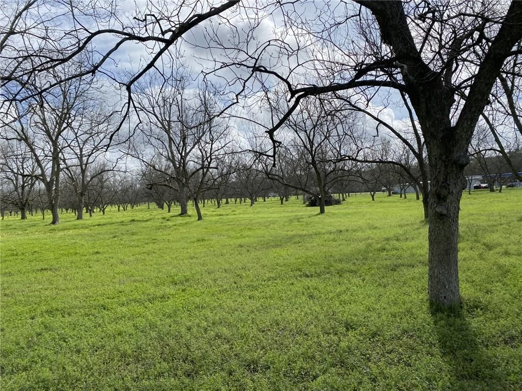 0 Festival Park Road, Grand Bay, AL 36541 — photo 3