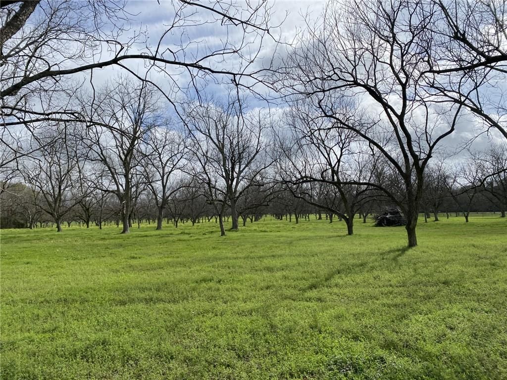 0 Festival Park Road, Grand Bay, AL 36541 — photo 5