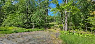 Lot 61 Cushetunk Drive, Cochecton, NY 12726