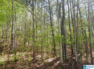 0 HIGHWAY 48, Wedowee, AL 36278