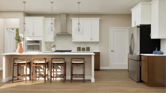 20096 Ginseng Way, Lakeville, MN 55044