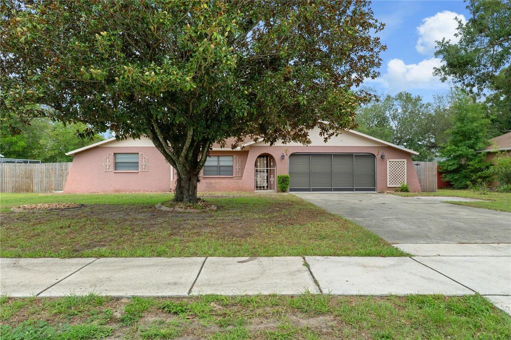 2354 DELTONA BOULEVARD, Spring Hill, FL 34606