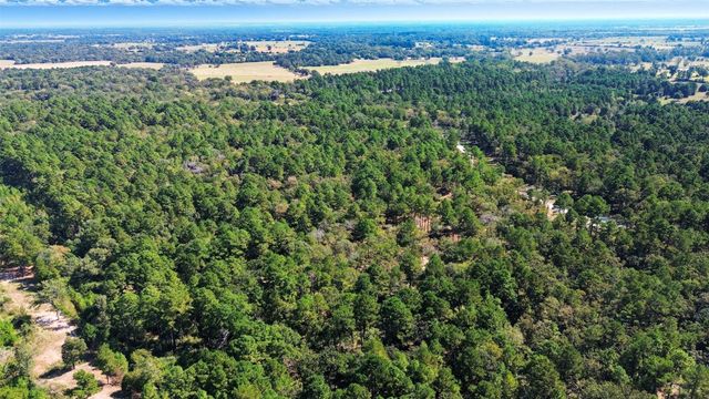 60 County Road 114, Centerville, TX 75833