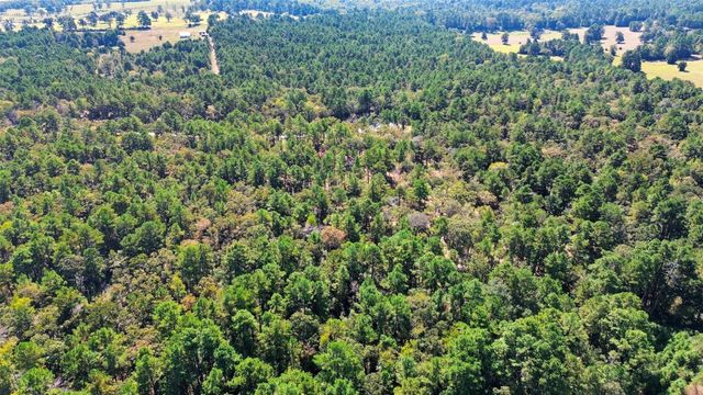 60 County Road 114, Centerville, TX 75833