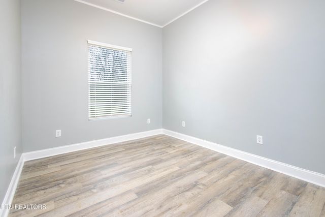 224 E Quincy Ave, Knoxville, TN 37917