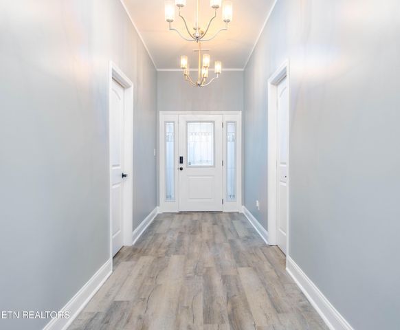 224 E Quincy Ave, Knoxville, TN 37917