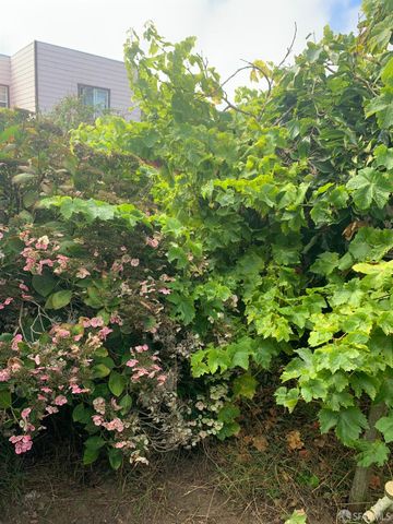 271 Granada Avenue, San Francisco, CA 94112