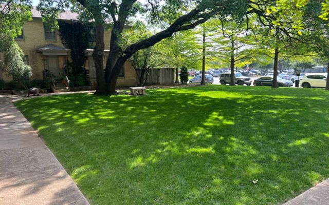 6015 Reiger Avenue 6021, Dallas, TX 75214