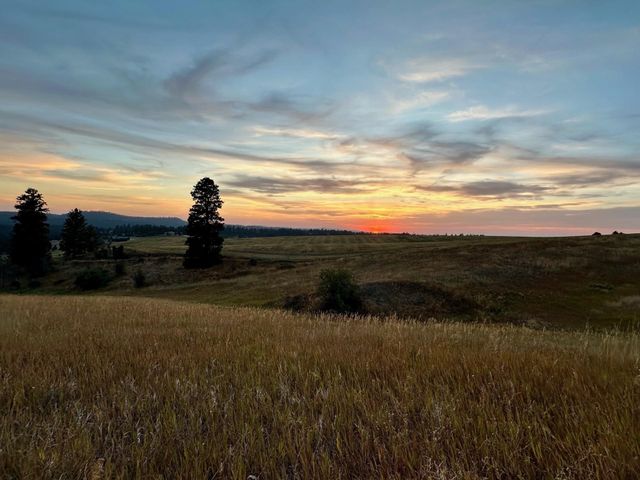 10900 S Silver Hill Rd, Spokane, WA 99223