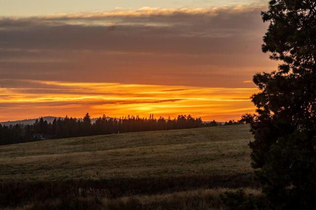 10900 S Silver Hill Rd, Spokane, WA 99223