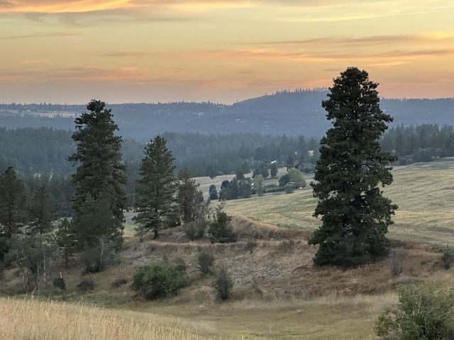 10900 S Silver Hill Rd, Spokane, WA 99223