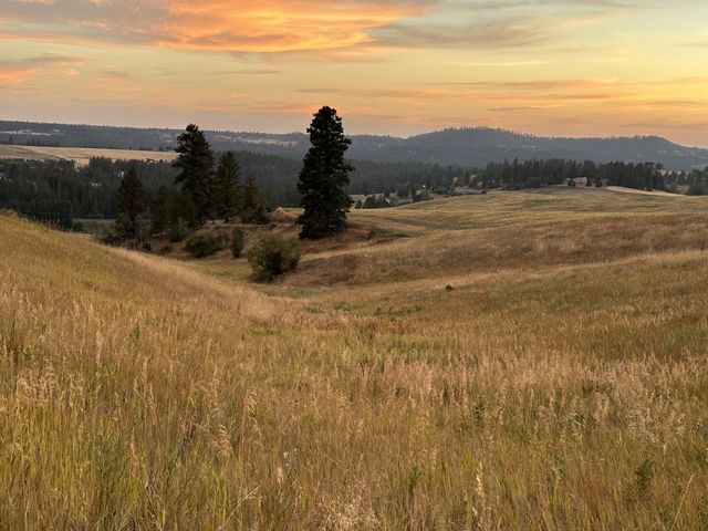 10900 S Silver Hill Rd, Spokane, WA 99223