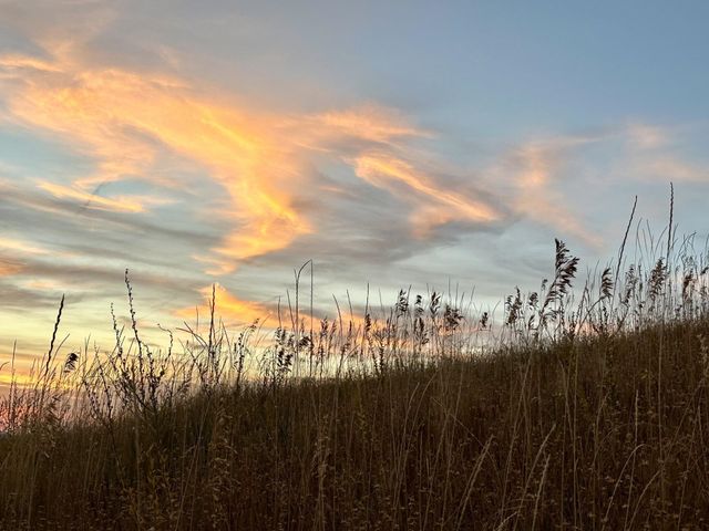 10900 S Silver Hill Rd, Spokane, WA 99223