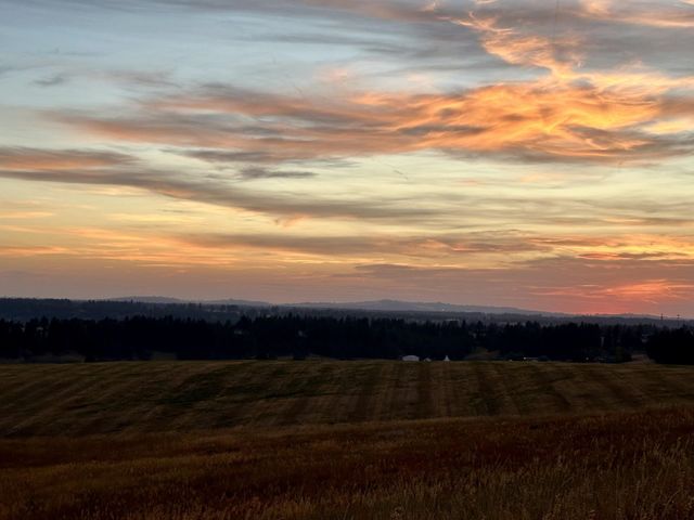 10900 S Silver Hill Rd, Spokane, WA 99223