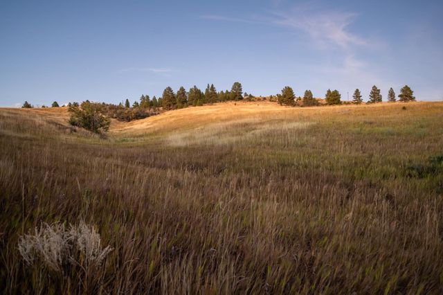 10900 S Silver Hill Rd, Spokane, WA 99223