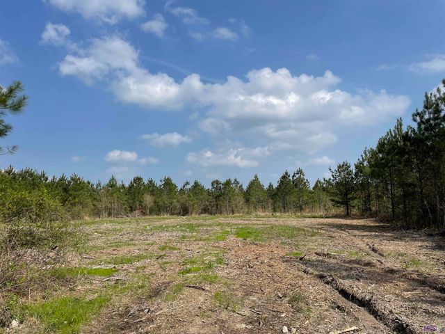 Tract 8 Lorin Wall Rd, Holden, LA 70744