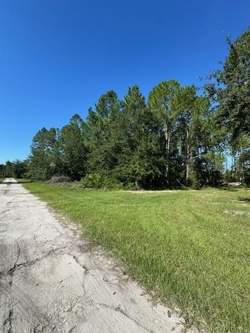 WOODLAND AVENUE, Paisley, FL 32767