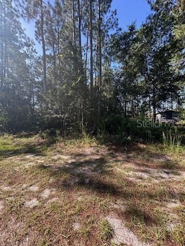 WOODLAND AVENUE, Paisley, FL 32767