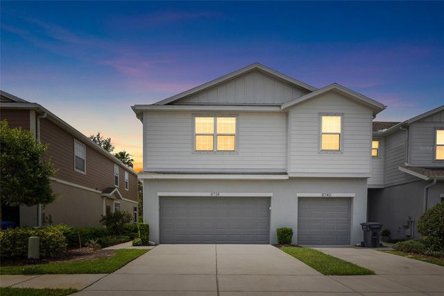 8738 TURNSTONE HAVEN PLACE, Tampa, FL 33619
