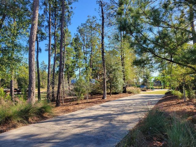 17351 Merigold Heights Drive, Conroe, TX 77302