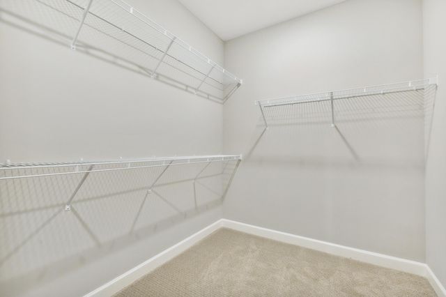 8203 Haywood Drive, Lino Lakes, MN 55014