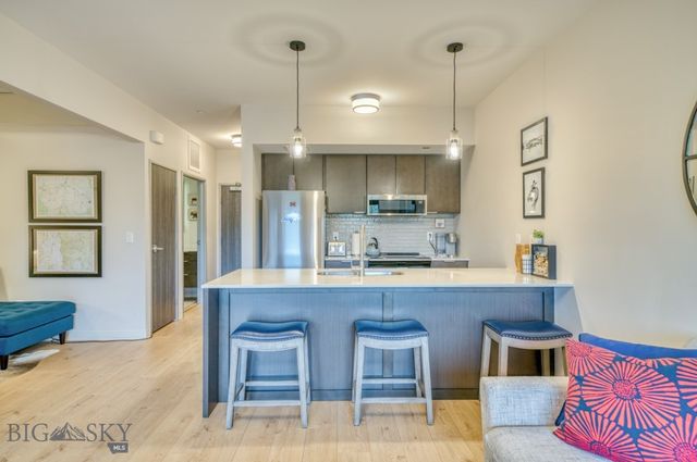 718 W Babcock Street 411, Bozeman, MT 59715