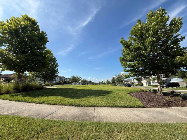 3904 WILD SENNA BOULEVARD, Tampa, FL 33619