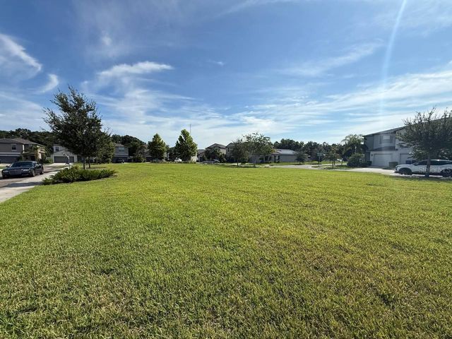 3904 WILD SENNA BOULEVARD, Tampa, FL 33619