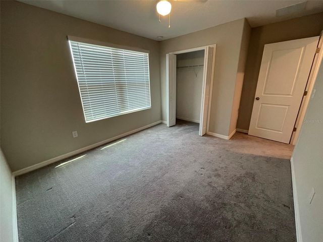 3904 WILD SENNA BOULEVARD, Tampa, FL 33619