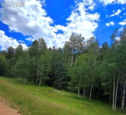 662 Spring Valley Lane, Florissant, CO 80816