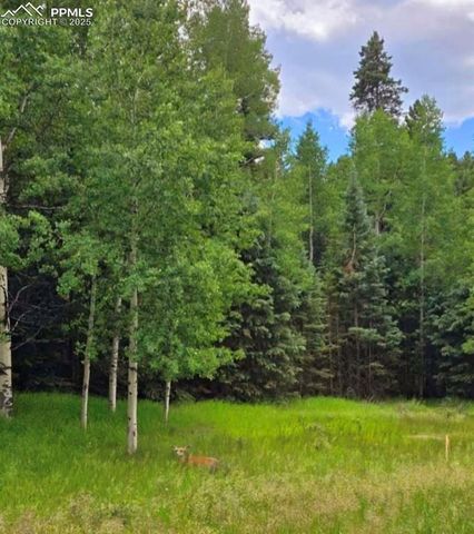 662 Spring Valley Lane, Florissant, CO 80816