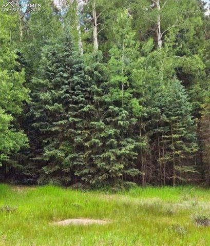 662 Spring Valley Lane, Florissant, CO 80816