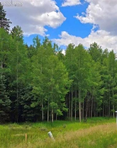 662 Spring Valley Lane, Florissant, CO 80816