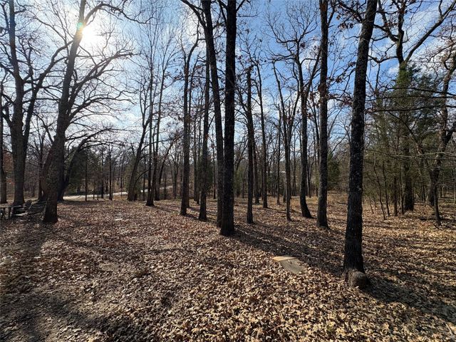 103 Elm Street, Mabank, TX 75156