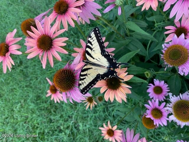 527 S Park Rd, Louisville, KY 40118