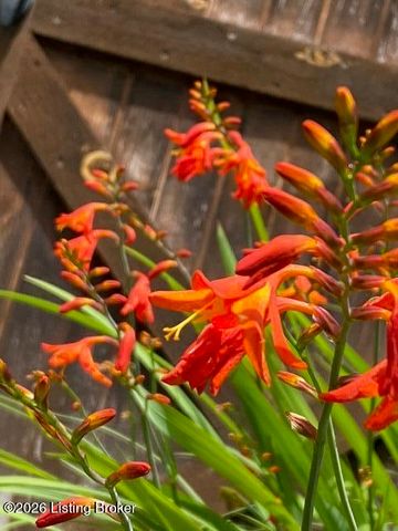 527 S Park Rd, Louisville, KY 40118