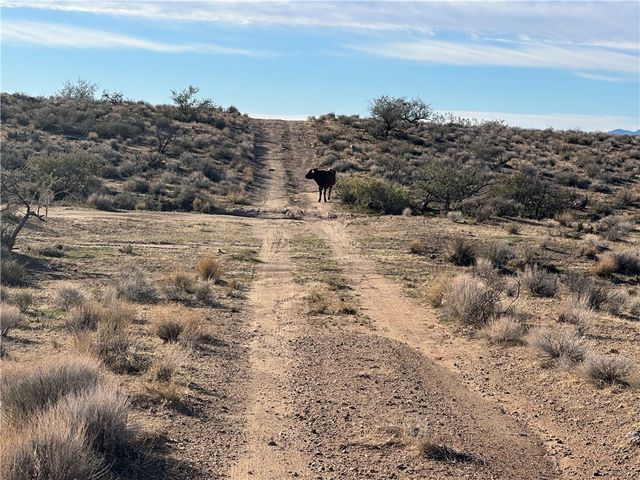 0 N Lost Mine Drive, Chloride, AZ 86431