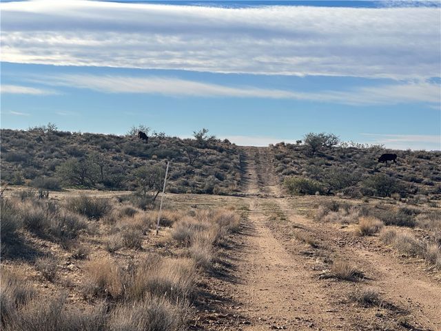 0 N Lost Mine Drive, Chloride, AZ 86431