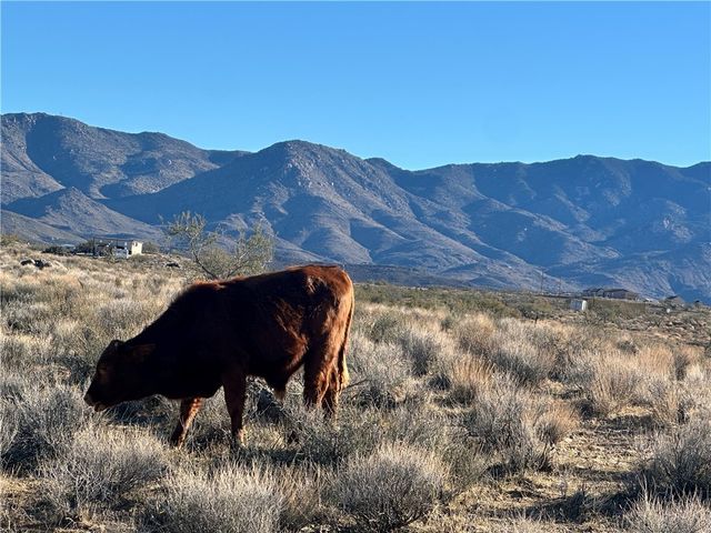 0 N Lost Mine Drive, Chloride, AZ 86431