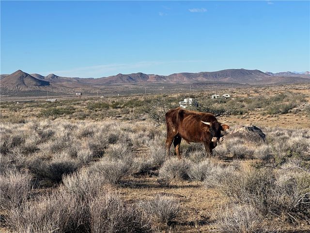 0 N Lost Mine Drive, Chloride, AZ 86431