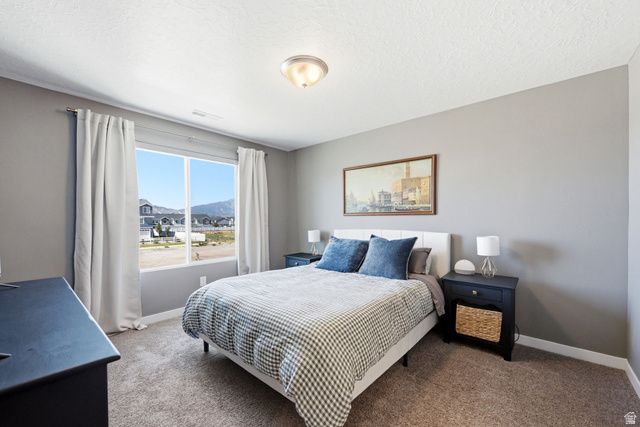 1084 E PILOT ST, Saratoga Springs, UT 84045