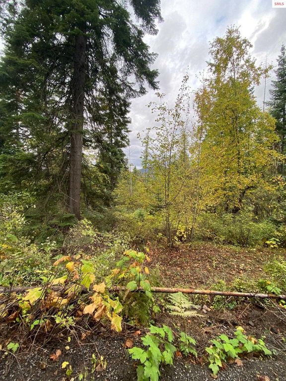 NKA Fly Catcher Lot 11,12, St Maries, ID 83861 photo 3