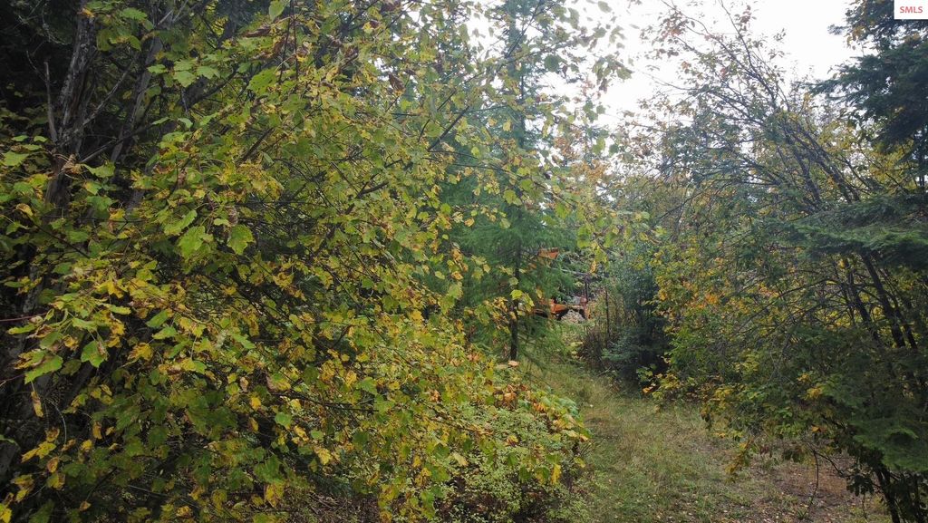 NKA Fly Catcher Lot 11,12, St Maries, ID 83861 photo 6