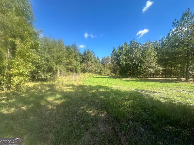 0 Tram Road, Sylvania, GA 30467