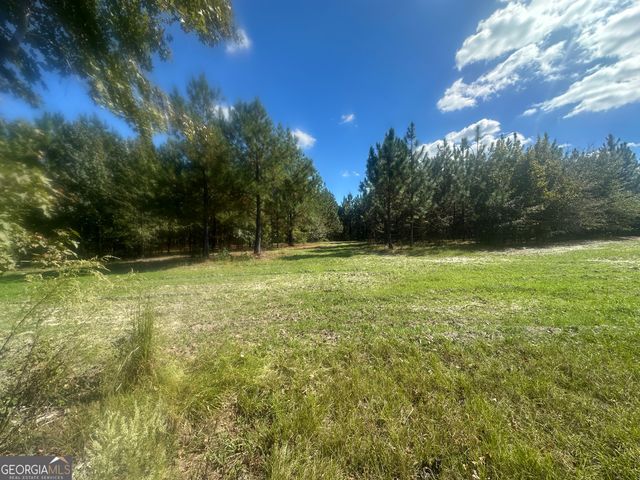 0 Tram Road, Sylvania, GA 30467