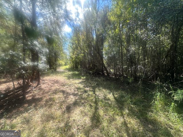 0 Tram Road, Sylvania, GA 30467