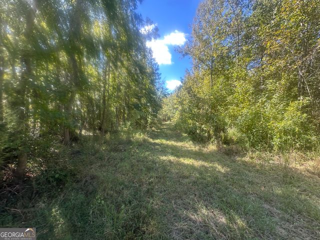 0 Tram Road, Sylvania, GA 30467